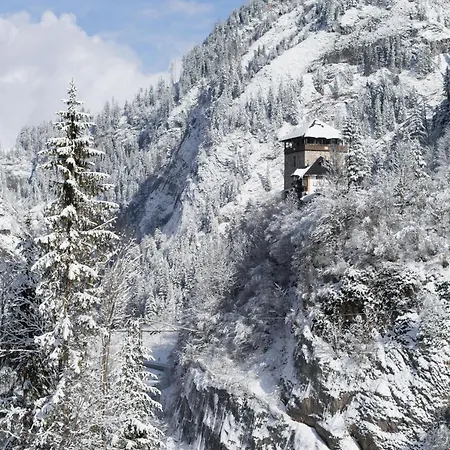 Haus Oberhuber Appartement Dorfgastein